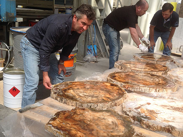 Final selection of the polished fossil wood