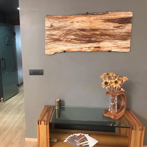 Petrified wood art panel