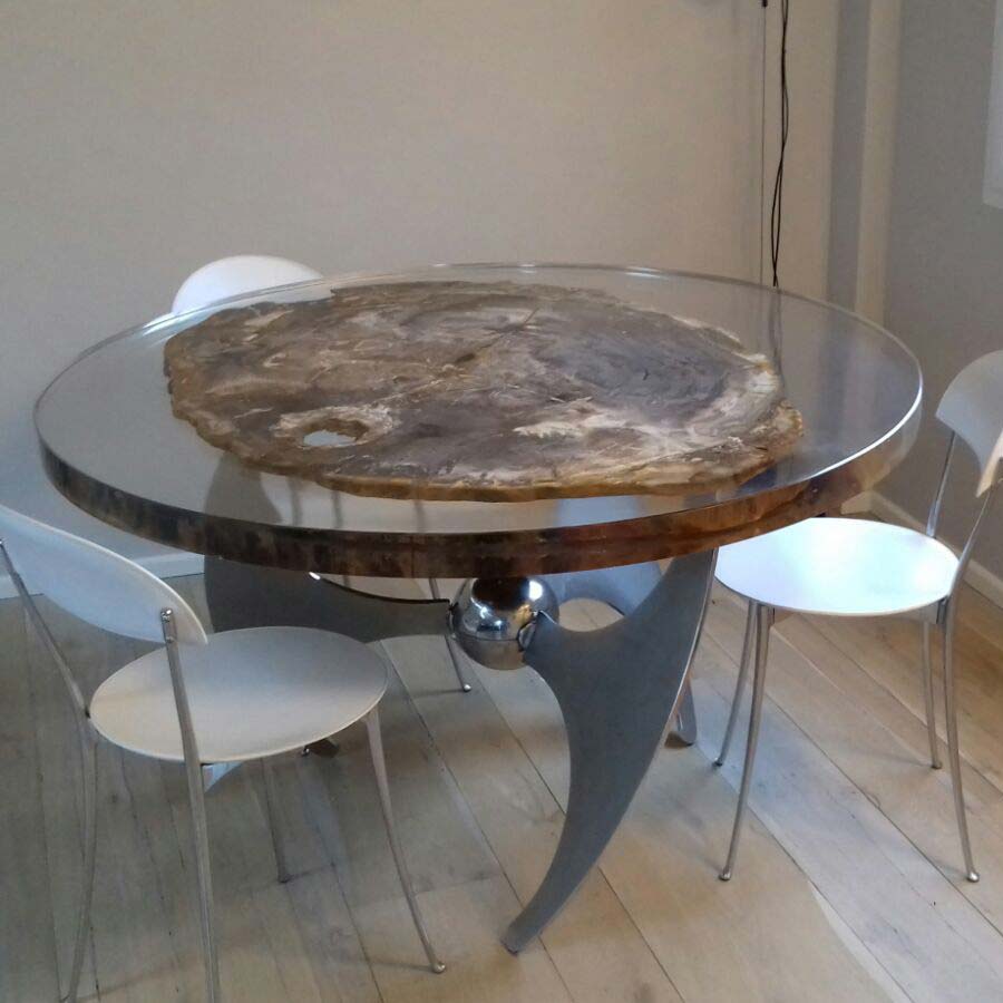 Fossil wood table set in glass