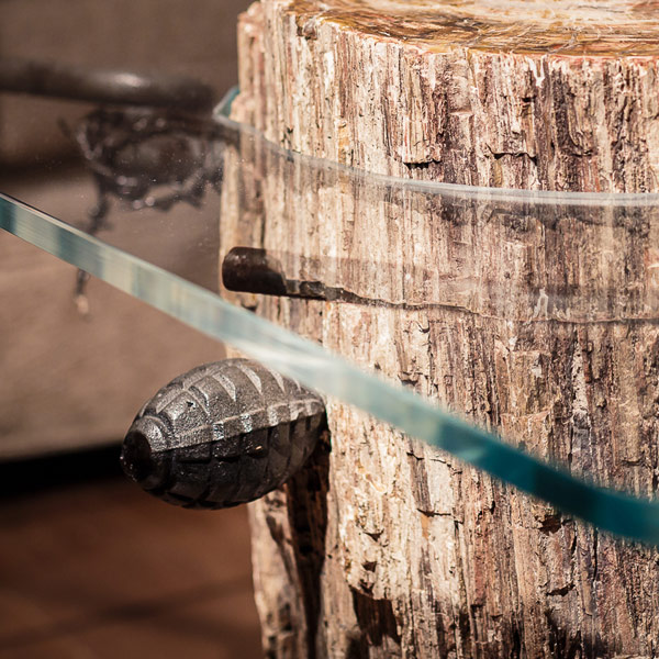 Table with fossilized trunk