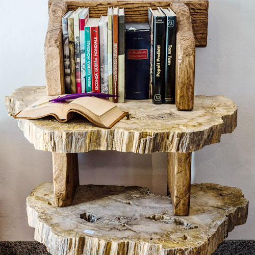 Fossil wood book shelf