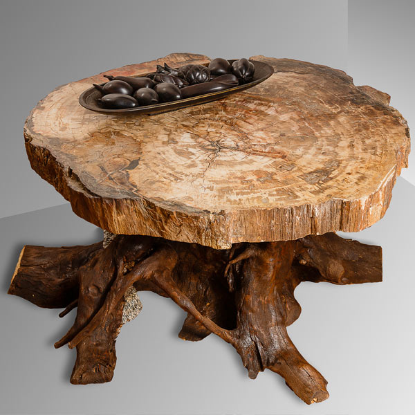 Fossilized table supported by tree roots