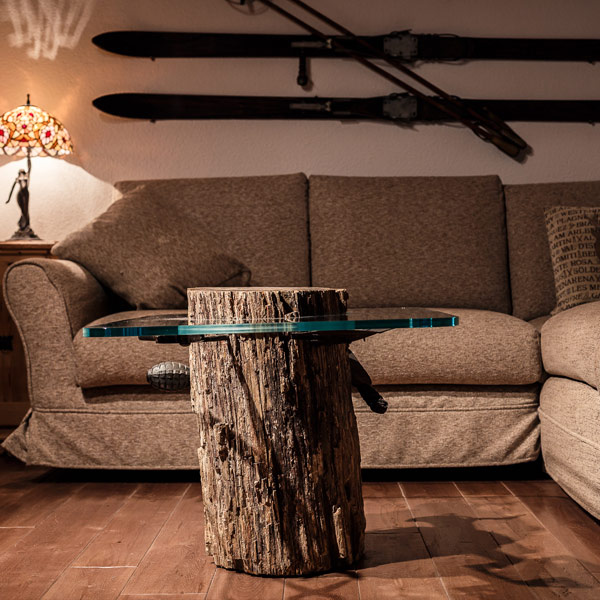 Glass table with petrified trunk