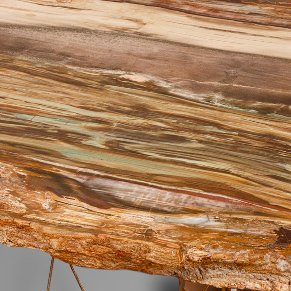 Rectangular fossil wood table