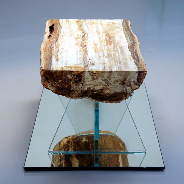 Mezzo tronco di legno fossile con vetro