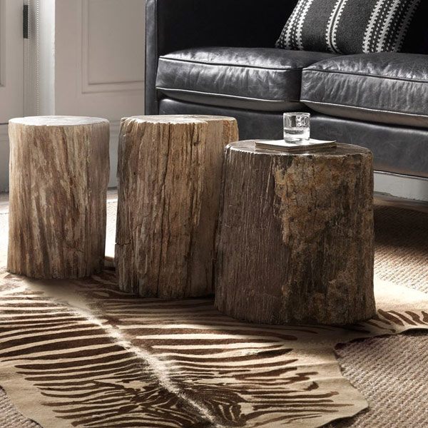 Coffee table or stools made from fossilized trunks