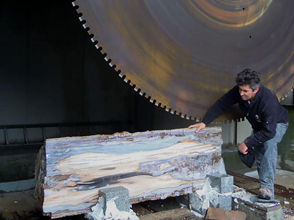The cutting process Cutting fossilized wood