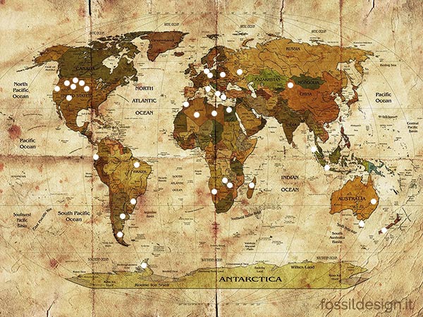Map of petrified wood forests around the world