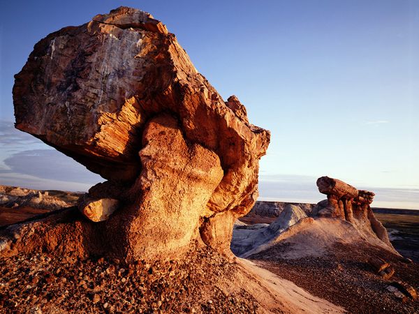 The petrified forests of Arizona