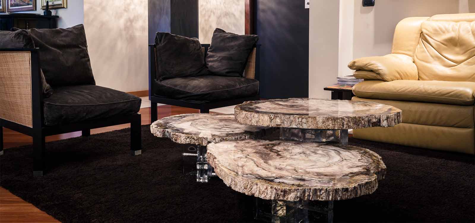 Petrified wood table